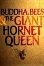 Watch Natural World Buddha Bees and the Giant Hornet Queen Primewire