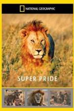 Watch National Geographic: Super Pride  Africa's Largest Lion Pride Primewire