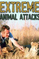 Watch Extreme Animal Attacks Primewire