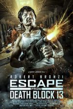 Watch Escape from Death Block 13 Primewire