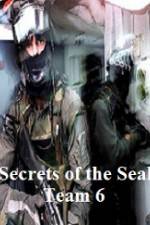 Watch Discovery Channel Secrets of Seal Team 6 Primewire