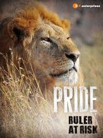 Watch Pride - Ruler\'s at Risk Primewire