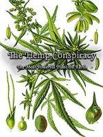 Watch The Hemp Conspiracy: The Most Powerful Plant in the World (Short 2017) Primewire