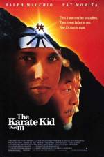 Watch The Karate Kid, Part III Primewire