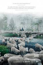 Watch Sweetgrass Primewire