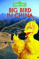 Watch Big Bird in China Primewire