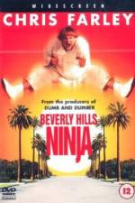 Watch Beverly Hills Ninja Primewire