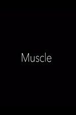 Watch Muscle Primewire