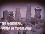 Watch The Wonderful World of Tupperware (Short 1965) Primewire