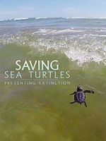 Watch Saving Sea Turtles: Preventing Extinction Primewire