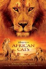 Watch African Cats Niter