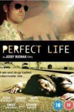 Watch Perfect Life Primewire