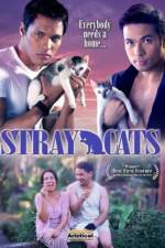 Watch Stray Cats Primewire