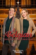Watch A Belgian Chocolate Christmas Primewire