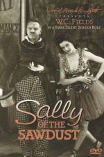 Watch Sally of the Sawdust Primewire