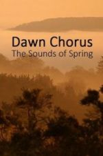 Watch Dawn Chorus: The Sounds of Spring Primewire