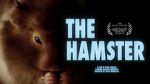 Watch The Hamster Primewire