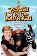 Watch Zebra in the Kitchen Primewire