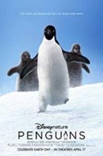 Watch Penguins Primewire
