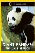 Watch National Geographic Giant Pandas The Last Refuge Primewire