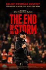 Watch The End of the Storm Primewire