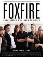 Watch Foxfire: Confessions of a Girl Gang Primewire