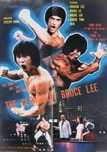 Watch The Clones of Bruce Lee Primewire