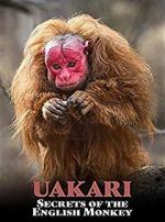 Watch Uakari: Secrets of the English Monkey Primewire