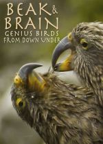 Watch Beak & Brain - Genius Birds from Down Under Primewire