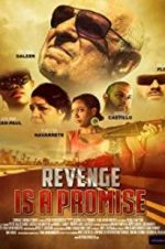 Watch Revenge Is a Promise Primewire