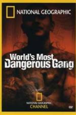 Watch National Geographic World's Most Dangerous Gang Primewire