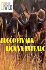 Watch National Geographic - Blood Rivals: Lion vs. Buffalo Primewire