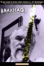Watch Brakhage Primewire