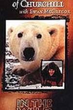 Watch The Polar Bears of Churchill with Ewan McGregor Primewire