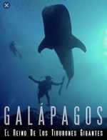 Watch Galapagos: Realm of Giant Sharks Primewire