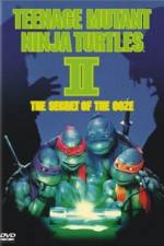 Watch Teenage Mutant Ninja Turtles II: The Secret of the Ooze Primewire