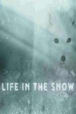 Watch Life in the Snow Primewire