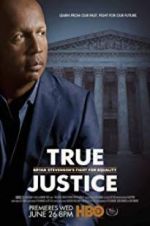 Watch True Justice: Bryan Stevenson\'s Fight for Equality Primewire