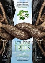 Watch Intelligent Trees Primewire