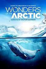 Watch Wonders of the Arctic 3D Primewire