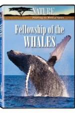 Watch Fellowship Of The Whales Primewire