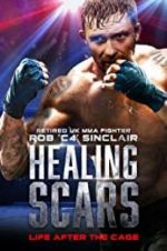 Watch Healing Scars Primewire