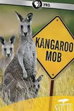 Watch Kangaroo Mob Primewire