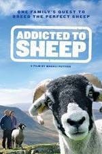 Watch Addicted to Sheep Primewire