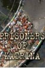 Watch Prisoners of Katrina Primewire