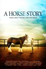Watch A Horse Story Primewire