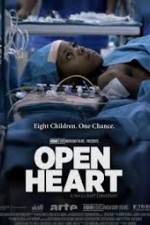 Watch Open Heart Primewire