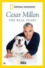 Watch Cesar Millan: The Real Story Primewire