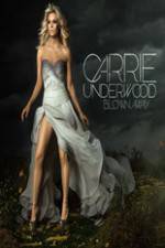 Watch Carrie Underwood: The Blown Away Tour Live Primewire