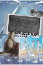 Watch Shorts for Cats Primewire